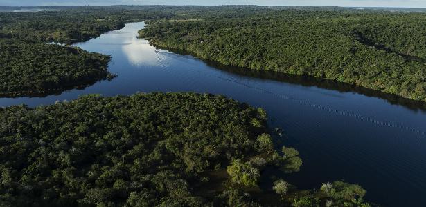 Concessão florestal: desenvolvimento e combate ao desmatamento na Amazônia
