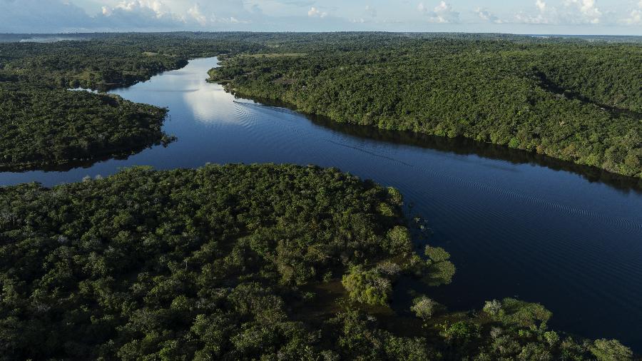 A Amazônia é a maior floresta tropical do mundo e um importante sumidouro de carbono A Amazônia é a maior floresta tropical do mundo e um importante sumidouro de carbono