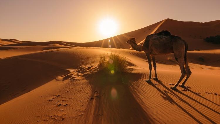 Erg Chebbi, Marrocos - Getty Images/iStockphoto - Getty Images/iStockphoto