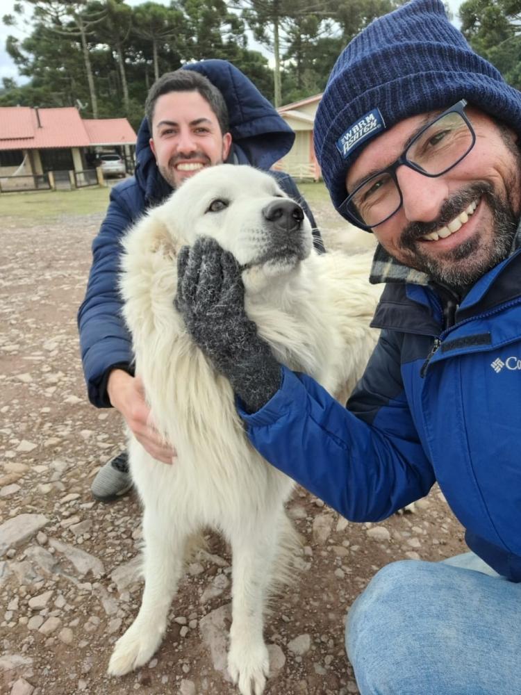Repórter de afiliada da Globo é 'atacado' por cães querendo brincar