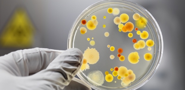 Bactérias e outros micróbios estão em nossas casas, mas muitos são inofensivos - Getty Images