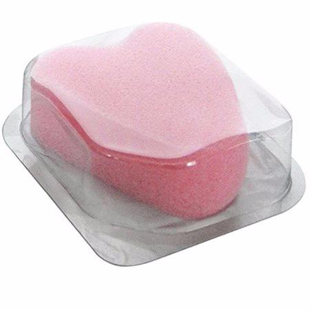 Esponja - Reprodução - Reprodução