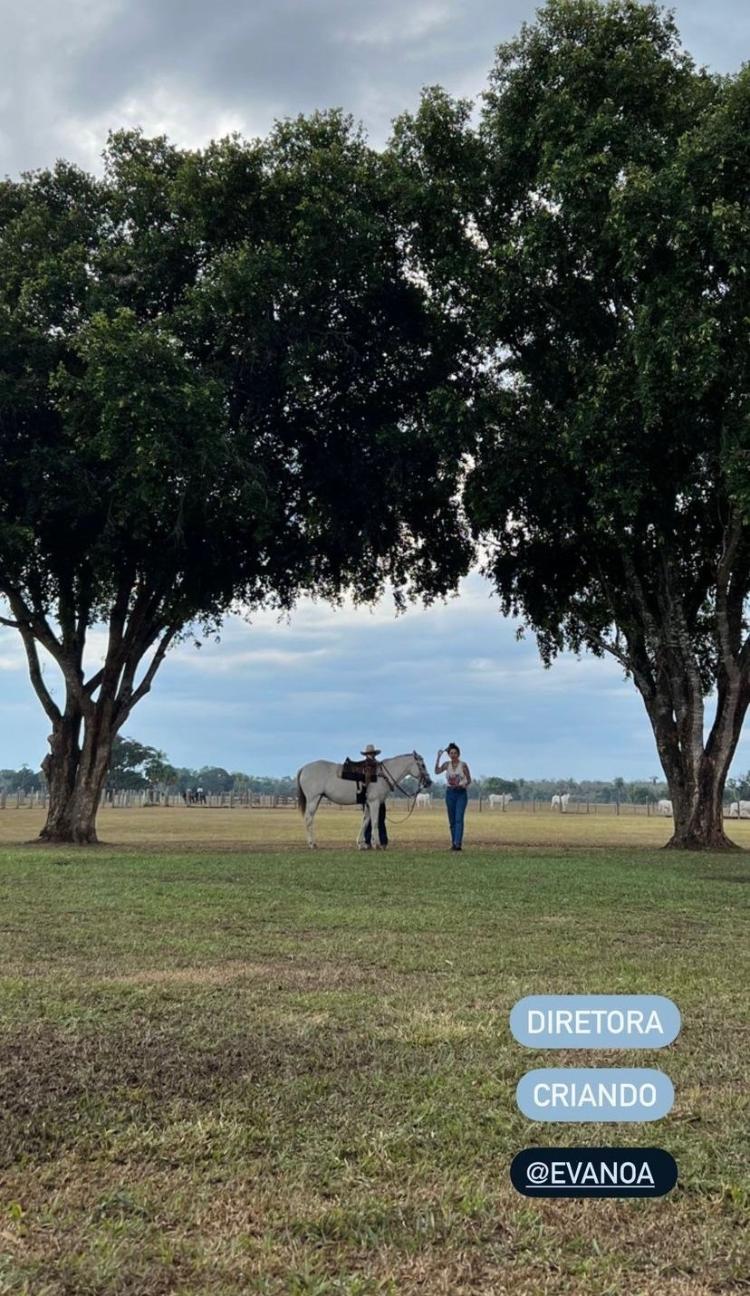 José Loreto mostra diretora da novela das 21h - Reprodução/Instagram - Reprodução/Instagram