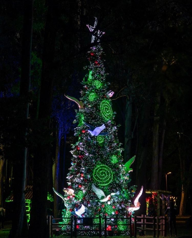 Uma das árvores de Natal no Parque Ibirapuera, em 2023 - Reprodução/Instagram - Reprodução/Instagram