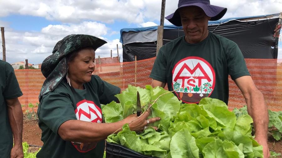 Movimento dos Trabalhadores Sem Teto (MTST) realiza doação de comida para quem precisa - Comunicação MTST