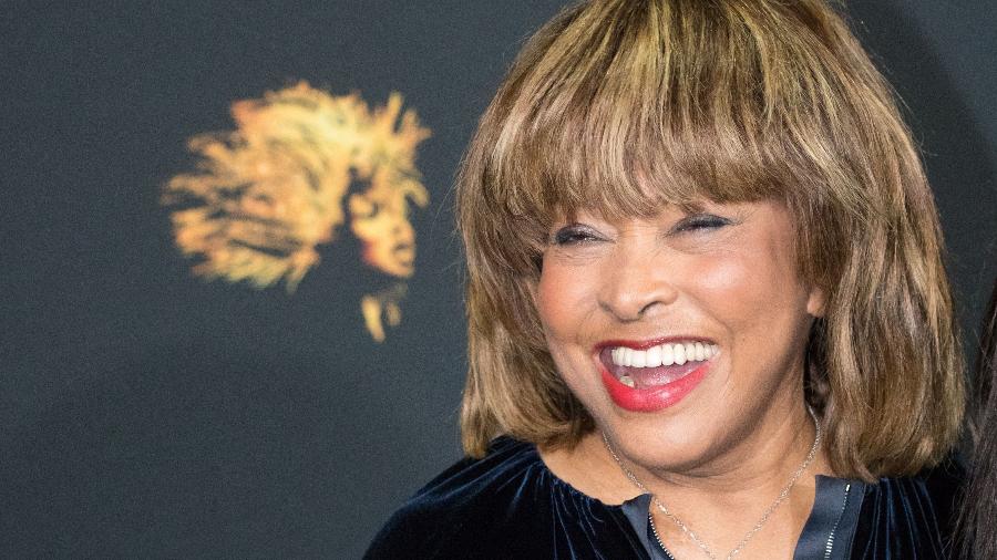 Tina Turner deixou fortuna milionária  - Christian Charisius / AFP