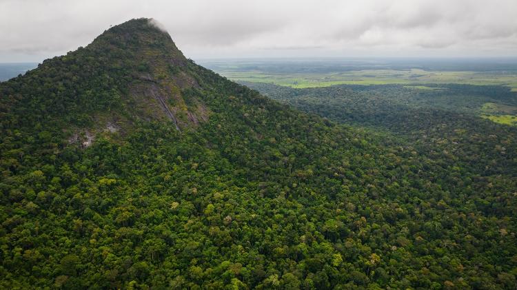 Área preservada de Mata Atlântica no Parque Nacional e Histórico do Monte Pascoal, no sul da Bahia - ISA/divulgação - ISA/divulgação