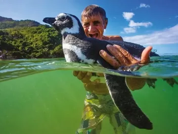 Quem é o pescador que ganhou a amizade de um pinguim e virou tema de filme