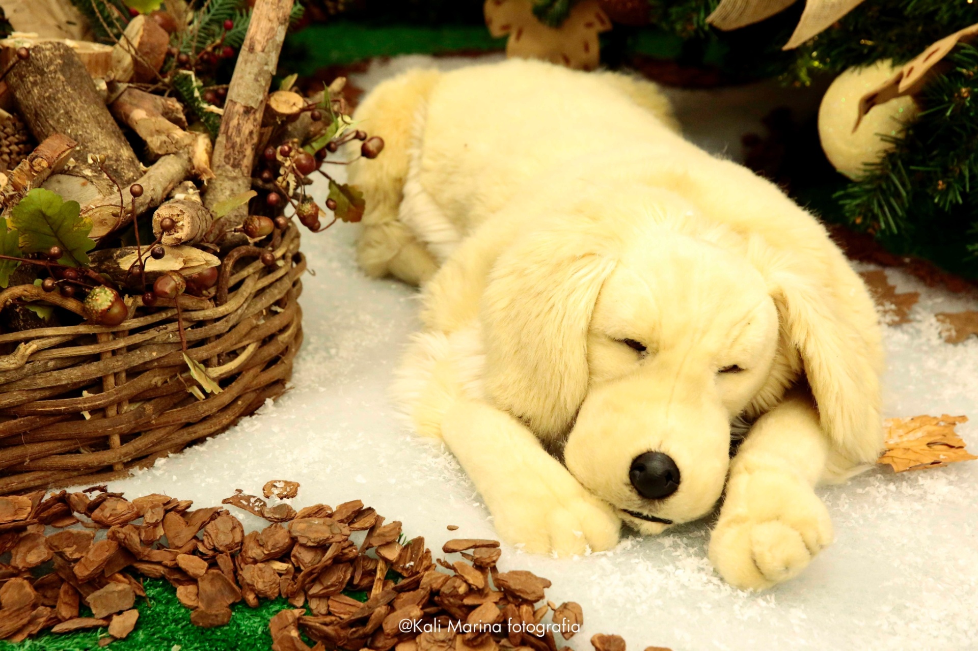 Cachorro animatrônico na decoração de Natal do Shopping Ibirapuera - Kali Marina