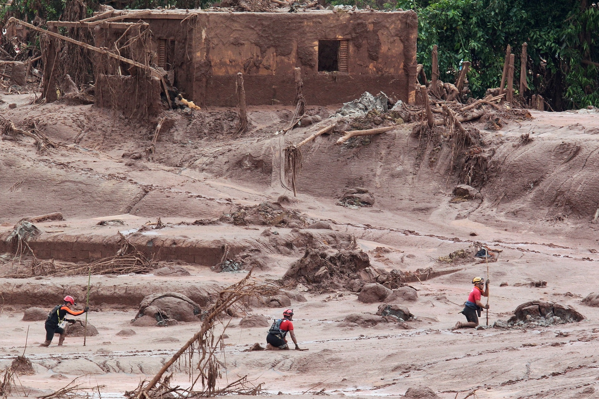 De 19 de janeiro a 21 de fevereiro, a exposição FotoRetrospectiva 2015 traz 80 fotos que relembram acontecimentos de 2015 como protestos, crise hídrica,  desastre ambiental de Mariana (MG), jogos Pan-Americanos, despedia da modelo Gisele Bündchen das passarelas, entre outros. A mostra será realizada no Shopping Ibirapuera, com visitação gratuita. Onde: Av. Ibirapuera, 3.103, Moema, São Paulo - Marcio Fernandes