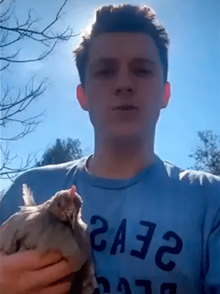 Tom Holland com uma de suas galinhas - Reprodução/Instagram