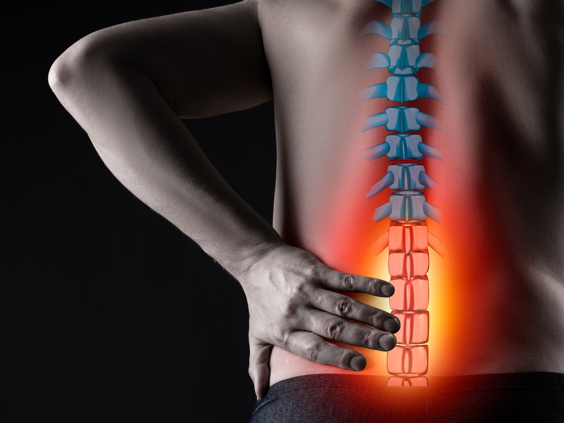 Coluna vertebral PUC Rio - Fisioterapia