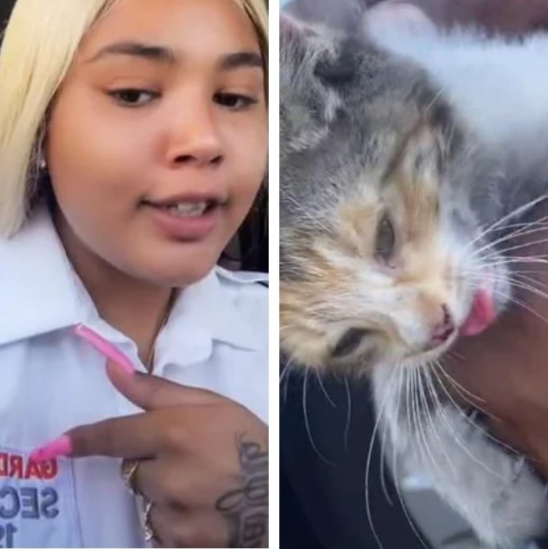 o flamengo nao tem mundial o gato miando｜Pesquisa do TikTok