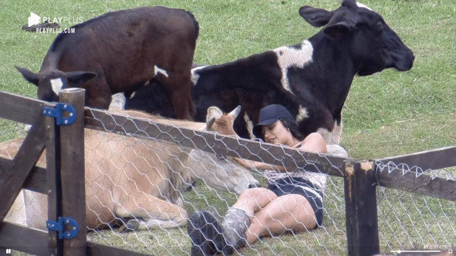 A Fazenda 2021: Aline desabafa com vacas - Reprodução/Playplus