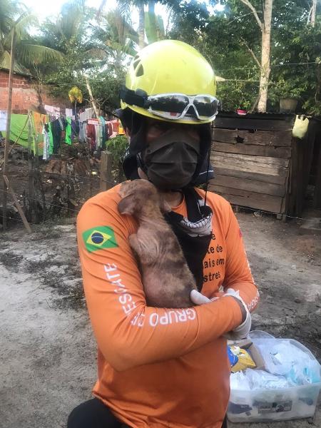 O Grad (Grupo de Resgate de Animais em Desastres) socorre animais afetados por desastres naturais na BA e MG - Divulgação
