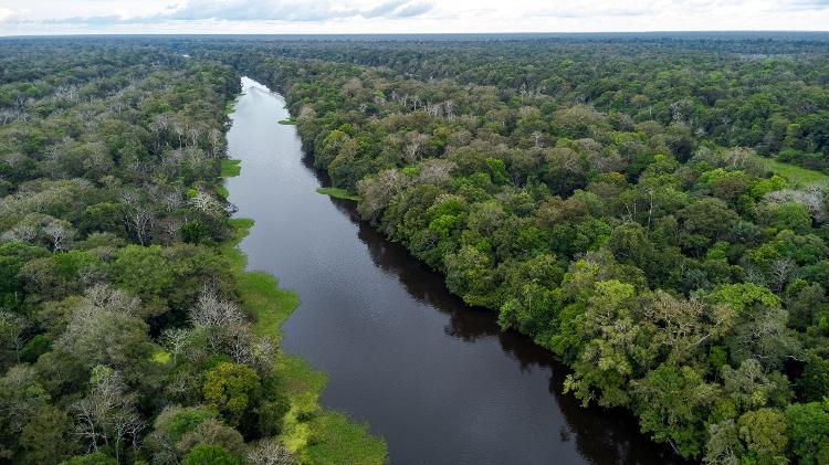 Vista aérea da Reserva de Desenvolvimento Sustentável Mamirauá, no estado do Amazonas Vista aérea da Reserva de Desenvolvimento Sustentável Mamirauá, no estado do Amazonas