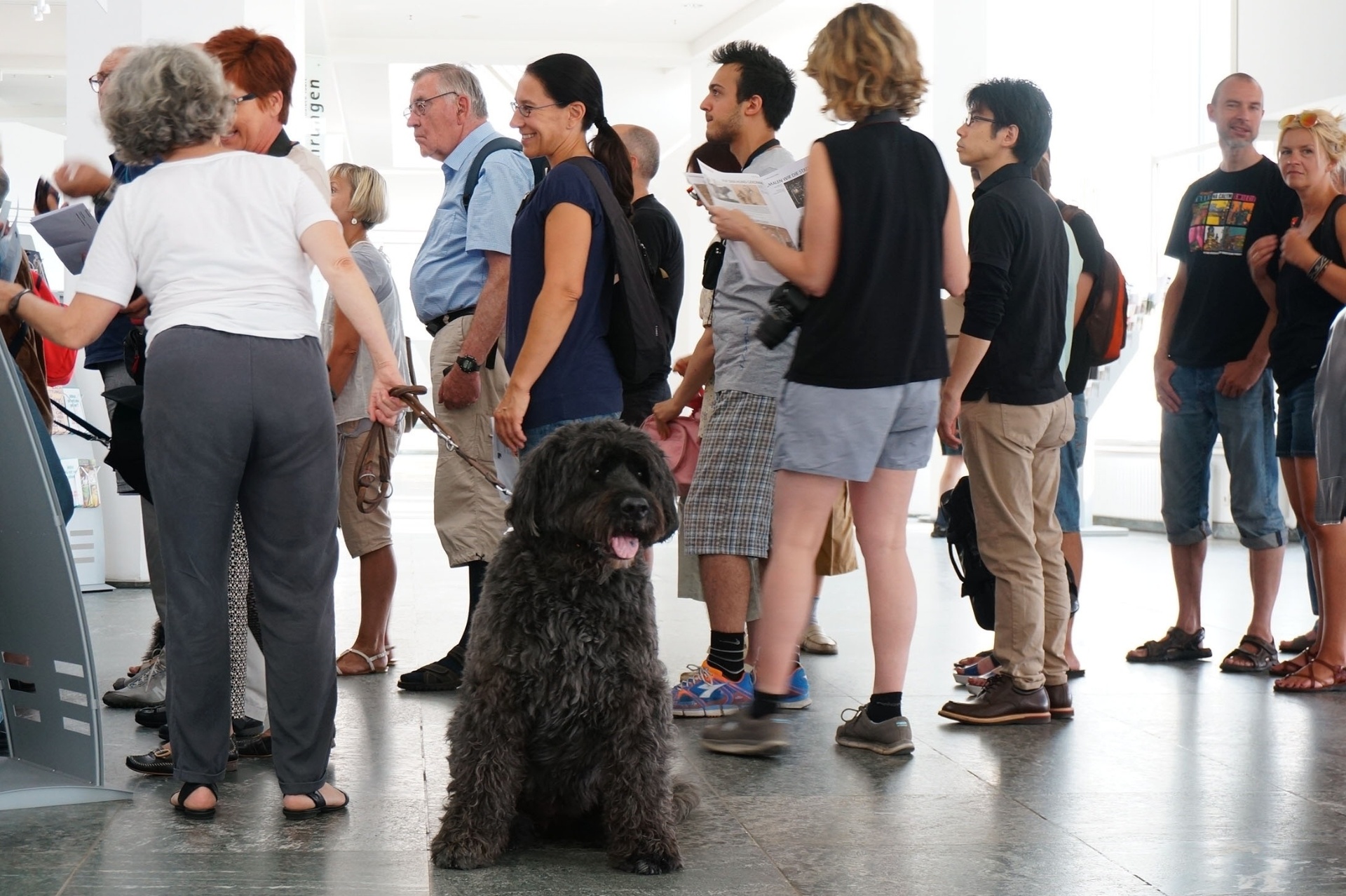 A exposição "Wir kommen auf den Hund", em cartaz até o dia 20 de setembro, reúne mais de 100 desenhos e gravuras em torno do tema canino. Há até quadros expostos na altura dos olhos dos animais - Clarissa Neher/BBC