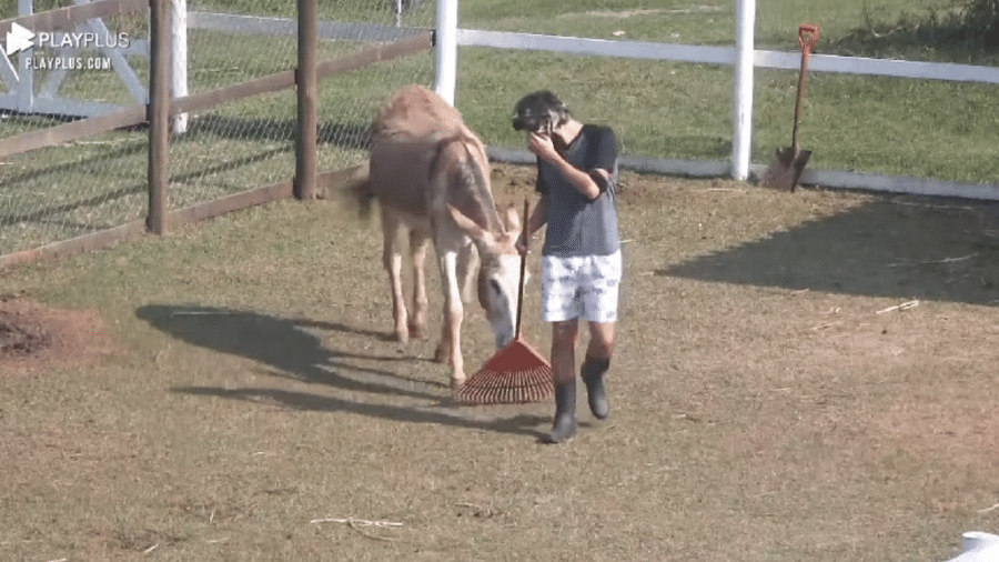 A Fazenda 2020: Cartolouco interage com jumenta no pasto da fazenda - Reprodução/RecordTV