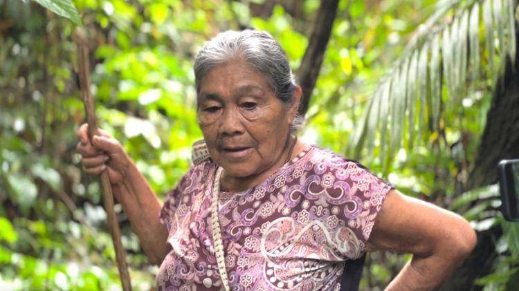 A pajé do povo Shanenawa tem 85 anos e chega a passar dias na floresta atrás de uma planta