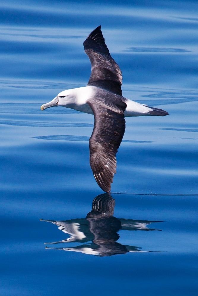 Fotos de Barbara Veiga durante expedição na Antártida - Barbara Veiga