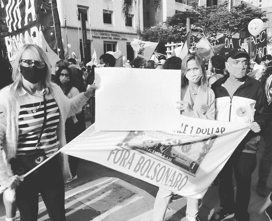 A ativista Luisa Mell também participou da manifestação; no Instagram, alguns seguidores criticaram seu posicionamento - Reprodução/Instagram