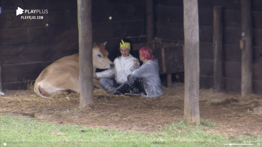 A Fazenda 2021: Aline e Valentina com a vaca Teimosinha - Reprodução/Playplus