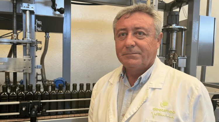 Juan Gadeo believes the olive oil sector is at risk in Spain - BBC - BBC