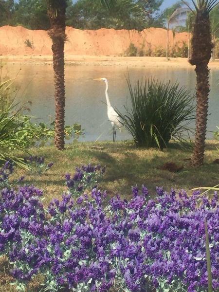 Flagra em Belaventura - Divulgação - Divulgação