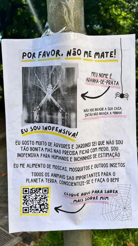 Cartaz de Nicole foi espalhado por seu condomínio na zona norte de São Paulo e compartilhado em grupo de identificação de aracnídeos no Facebook. - Arquivo pessoal/Nicole Dourado. - Arquivo pessoal/Nicole Dourado.