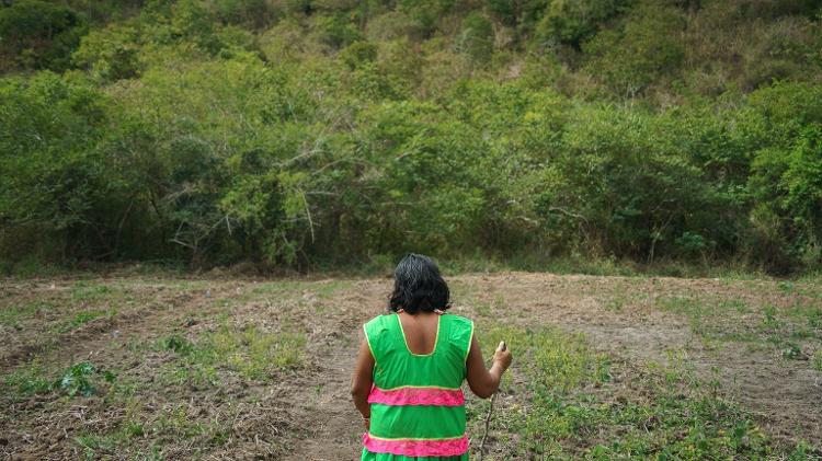 Sueli Maxakali diante de morro reflorestado na Aldeia-Escola-Floresta