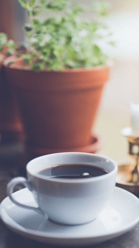 O que fazer com pó de café usado 2 - Canva