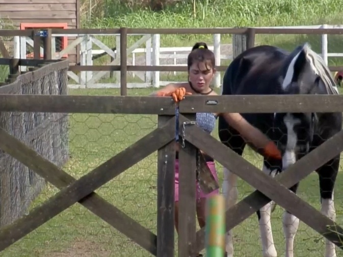 Dia em A Fazenda 15 é marcado por 'revolta dos bichos' e nova punição