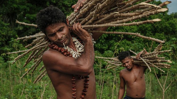 Tohõ Pataxó e Formiga Pataxó transportam manivas de mandioca para iniciarem uma nova lavoura, sem o uso de agrotóxicos Tohõ Pataxó e Formiga Pataxó transportam manivas de mandioca para iniciarem uma nova lavoura, sem o uso de agrotóxicos
