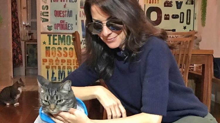 Ana Paula Padrão e o personagem do perfil "Cansei de Ser Gato" - Divulgação / Band - Divulgação / Band