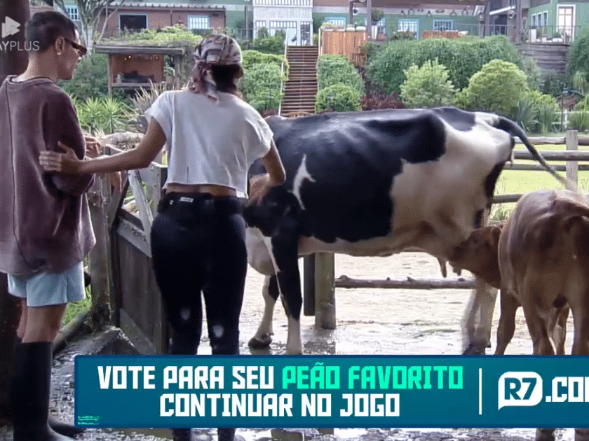 Peões sofrem sem ajuda para o trato dos animais e se desesperam