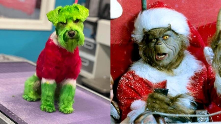 Mulher pinta o cachorro de verde para simular Grinch - Reprodução e Divulgação/Universal Studios