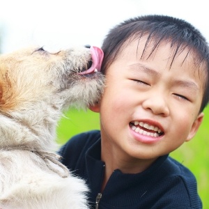 Exposição aos bichos reduziu de forma significativa a asma nas crianças - Getty Images