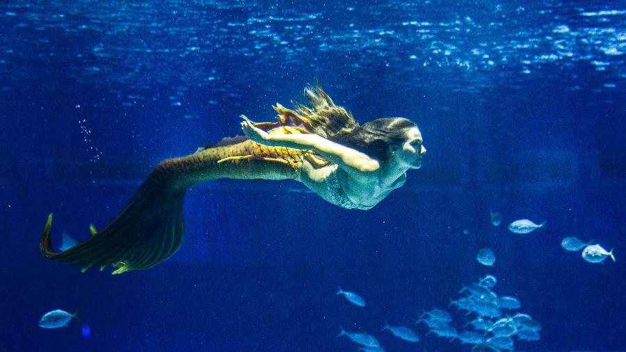 Como sereia, Ritinha (Isis Valverde) trabalha em aquário em "A Força do Querer" - Fabio Rocha/Divulgação/TV Globo