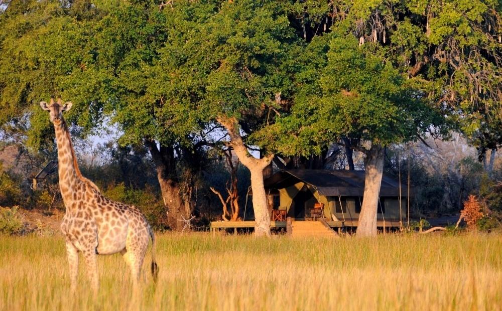 Botswana tem deserto, savanas, deltas de rios e mais. A riqueza de paisagens torna a viagem única e repleta de experiências.  - Organização de Turismo de Botswana