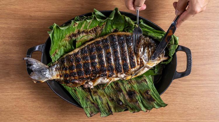 culinária amazônica - peixe banzeiro - Divulgação - Divulgação