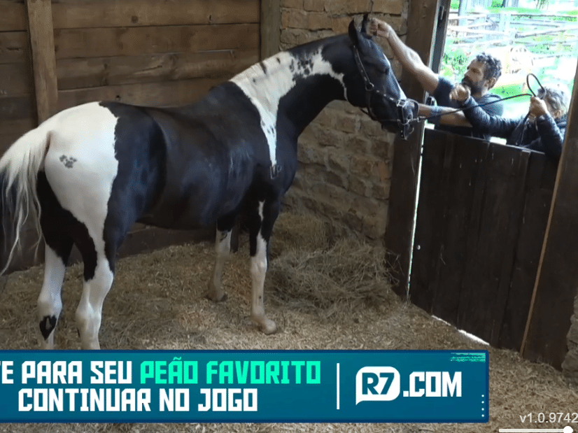 Cavalo costas Png - Baixar Imagens em PNG