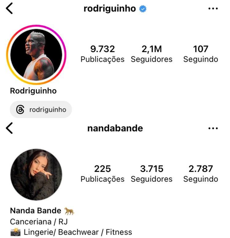 Confira os seguidores de Rodriguinho e Fernanda no anúncio feito pelo "Big Day"