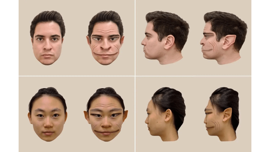 Imagens geradas por computador das distorções de um rosto masculino (em cima) e feminino (embaixo), conforme percebido pelo paciente no estudo