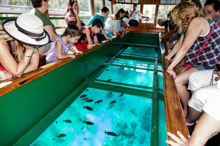 Os passeios em barco com fundo de vidro fazem sucesso até hoje