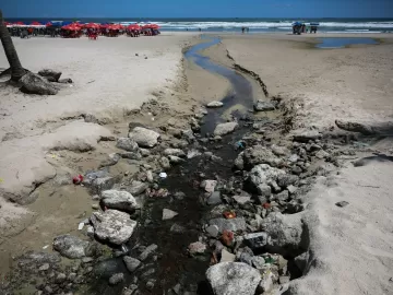 Maré vermelha, virose e petróleo no Amazonas: como tudo se conecta