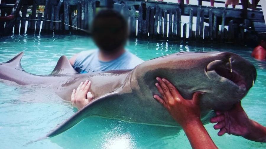 Turistas retiram tubarão da água no Caribe - Reprodução/Instagram