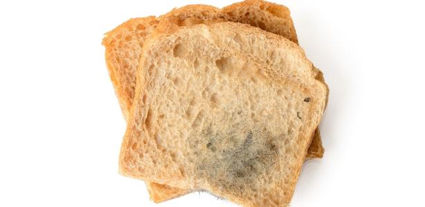 Como identificar alimentos estragados