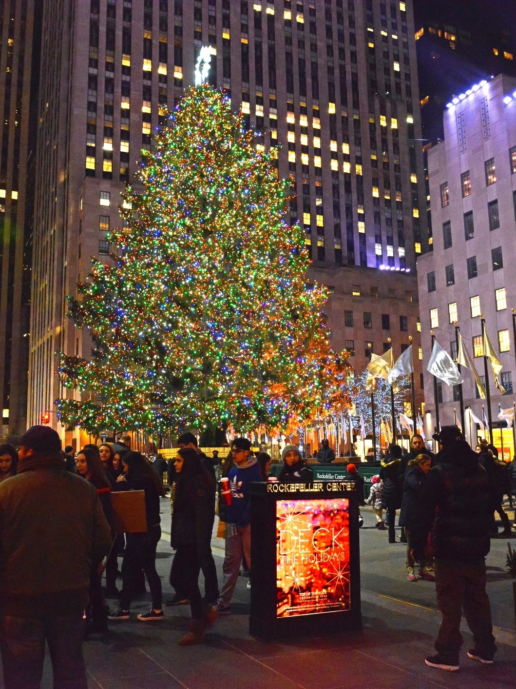 Árvore de Natal do Rockefeller Center em NY é revelada antecipadament