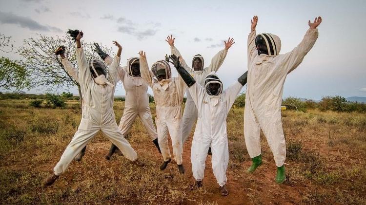 Grupo de apicultores do projeto Elephants and Bees, que está usando abelhas para salvar elefantes - Reprodução - Reprodução