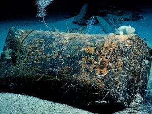 Charutos que passaram 134 anos dentro de mala no mar são expostos nos EUA